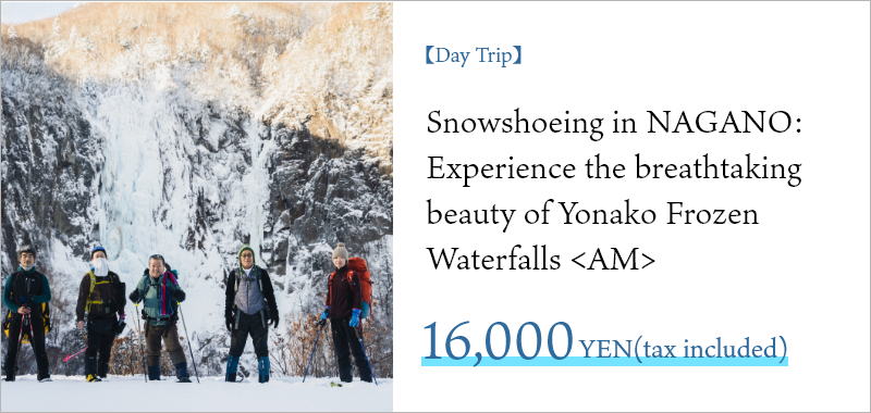 【Day Trip】Snowshoeing in NAGANO: Experience the breathtaking beauty of Yonako Frozen Waterfalls <AM>】Discover the Spectacular Beauty of Yonako Frozen Waterfalls: A Snowshoeing Adventure in the Hidden Wonderland of Joshinetsu Kogen National Park.This extraordinary icefall is a rare sight, not found in Hakuba or Nozawa.