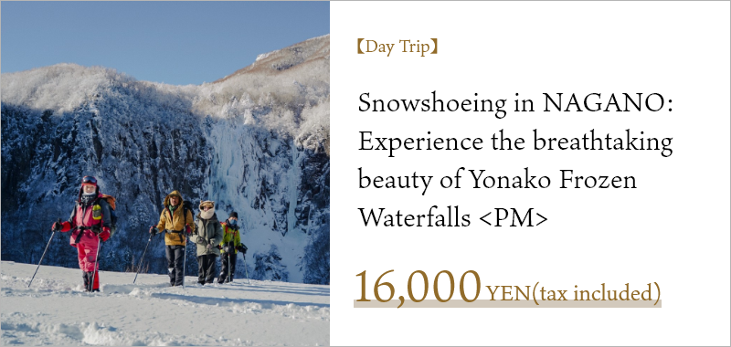 【Day Trip】Snowshoeing in NAGANO: Experience the breathtaking beauty of Yonako Frozen Waterfalls <PM>Discover the Spectacular Beauty of Yonako Frozen Waterfalls: A Snowshoeing Adventure in the Hidden Wonderland of Joshinetsu Kogen National Park.This extraordinary icefall is a rare sight, not found in Hakuba or Nozawa.