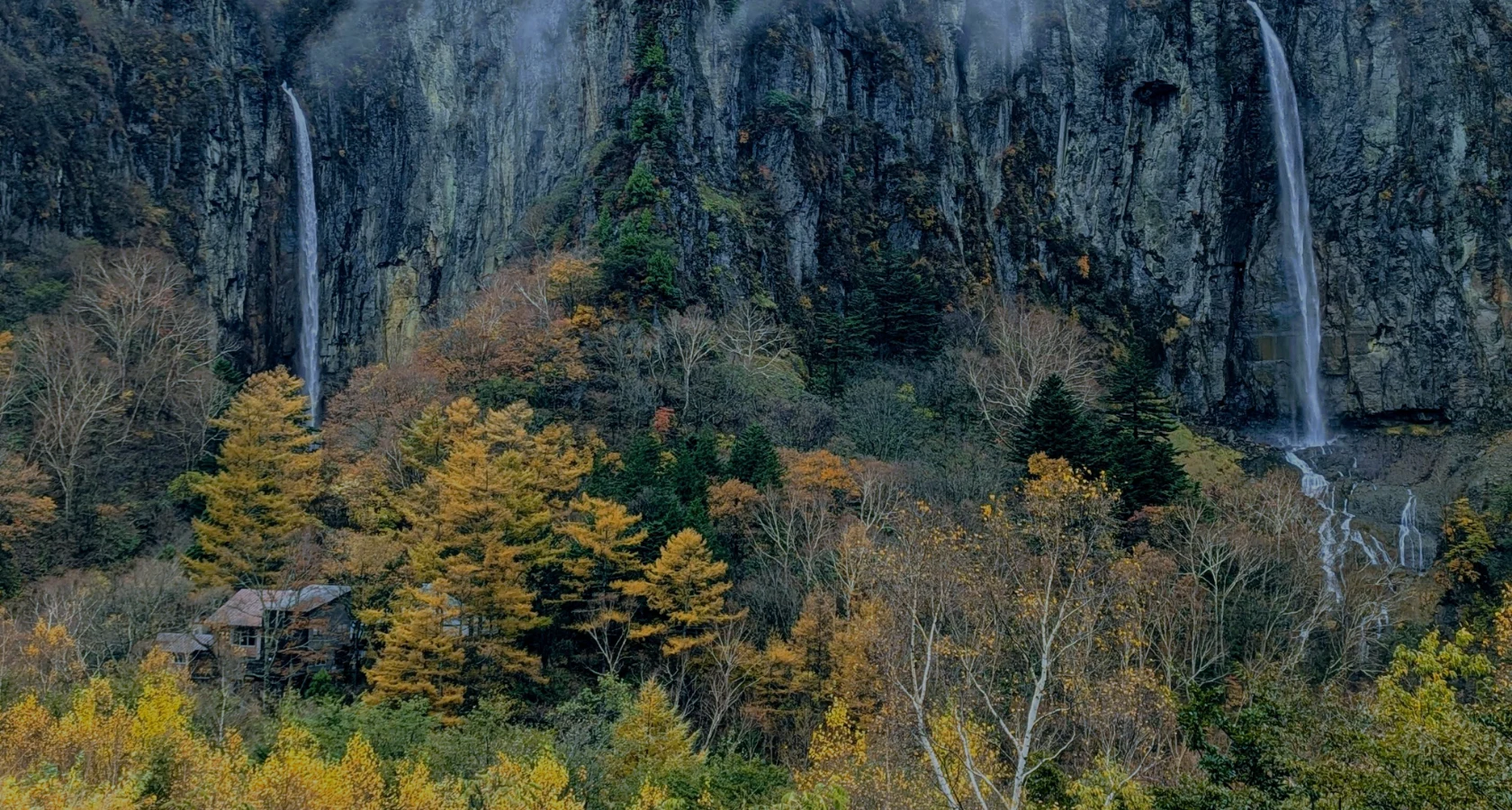 自然の宝箱を楽しむベースキャンプ