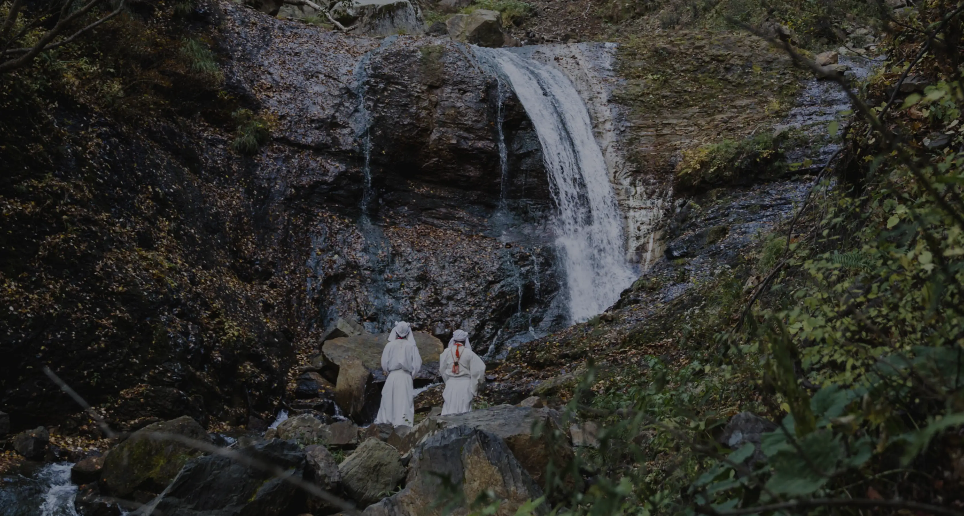 自然の宝箱を楽しむベースキャンプ