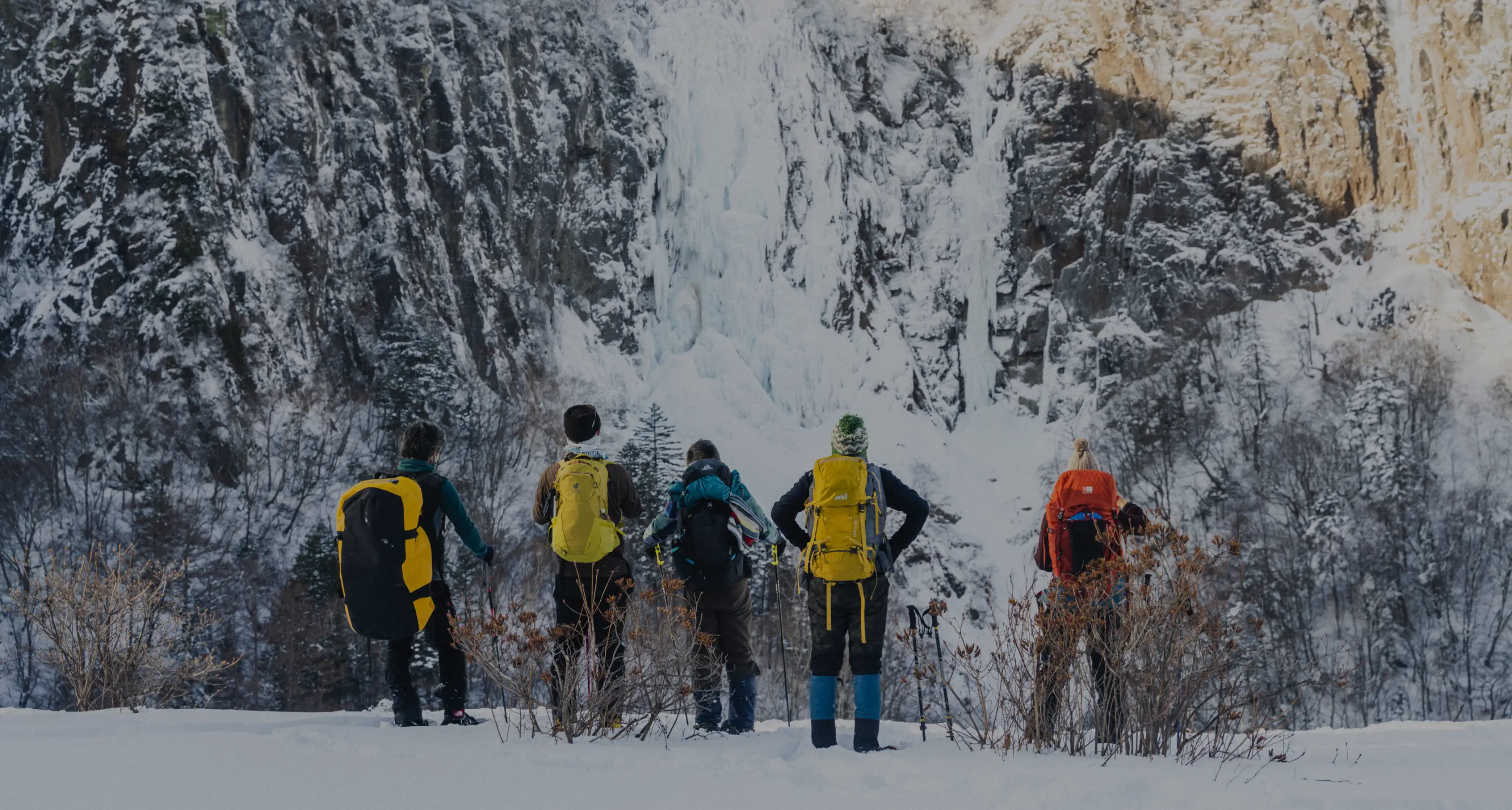 自然の宝箱を楽しむベースキャンプ