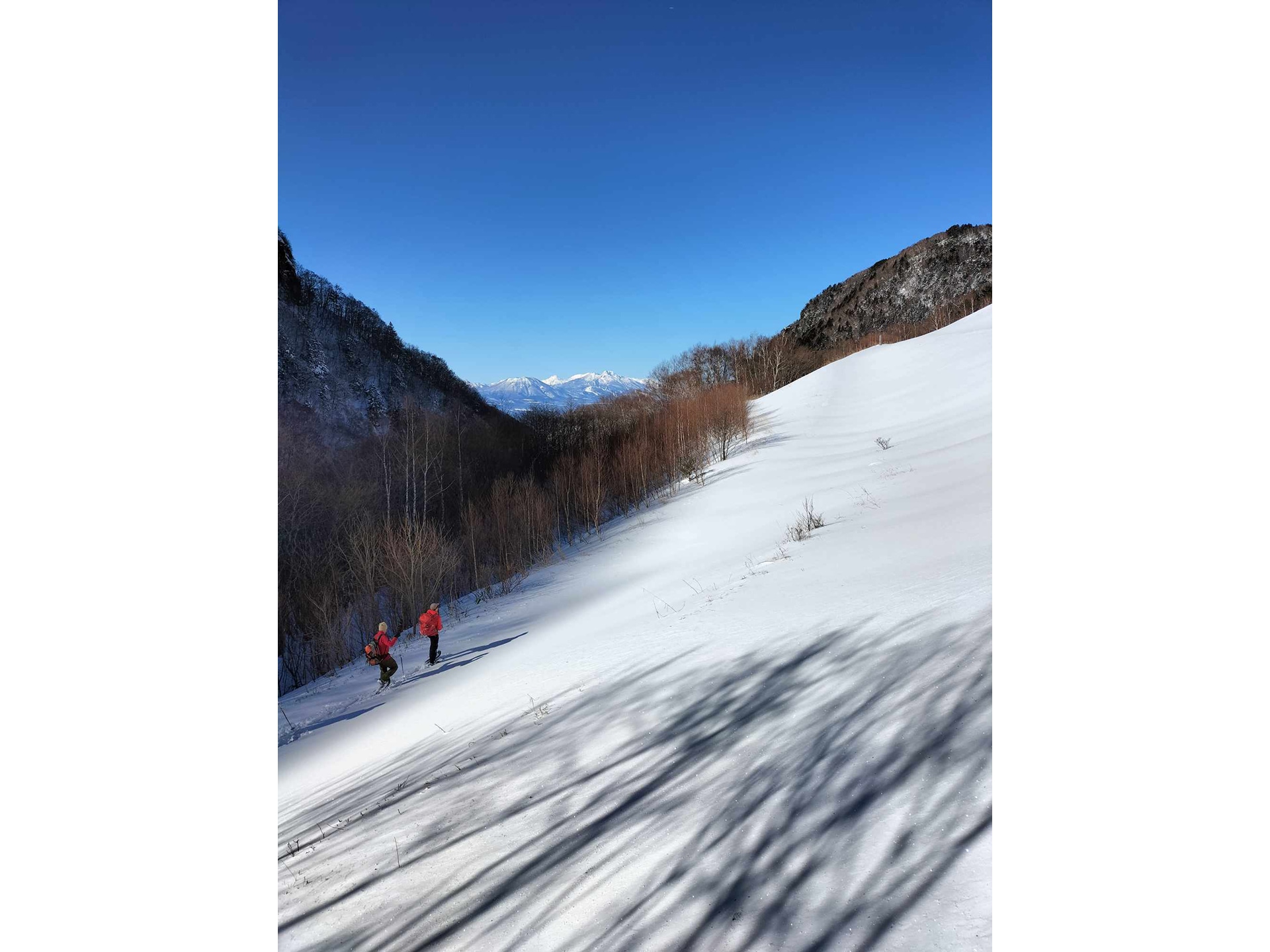 鉱山跡までの雪原を歩くスノーシューハイキングツアーの参加者